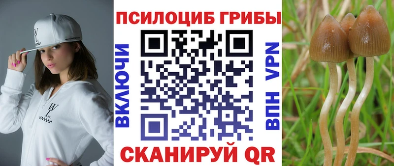 купить сайты Усть-Катав кракен ССЫЛКА Галлюциногенные грибы Cubensis